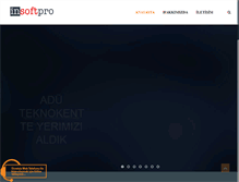 Tablet Screenshot of insoftpro.com